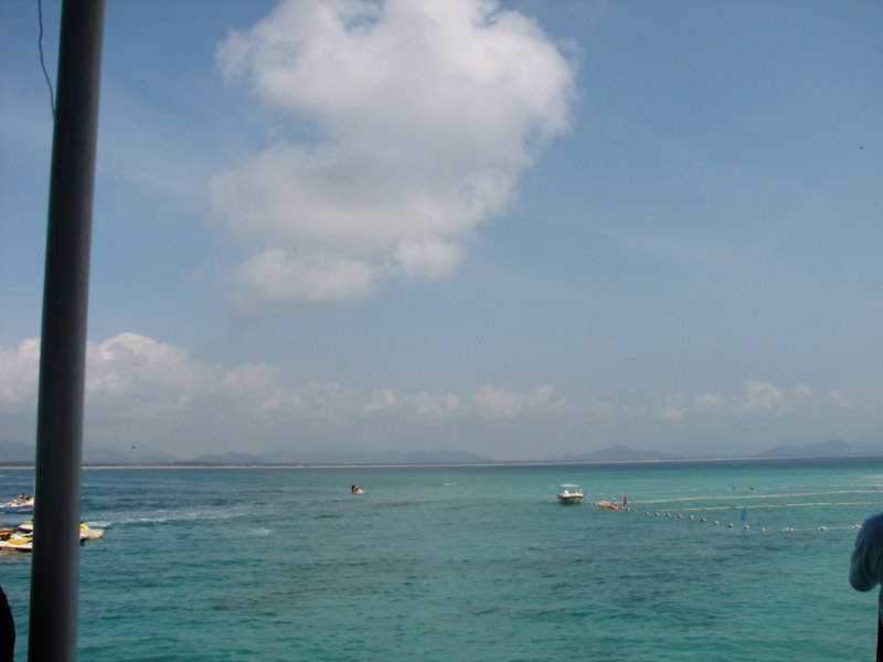 IMG_6558 [800x600].jpg