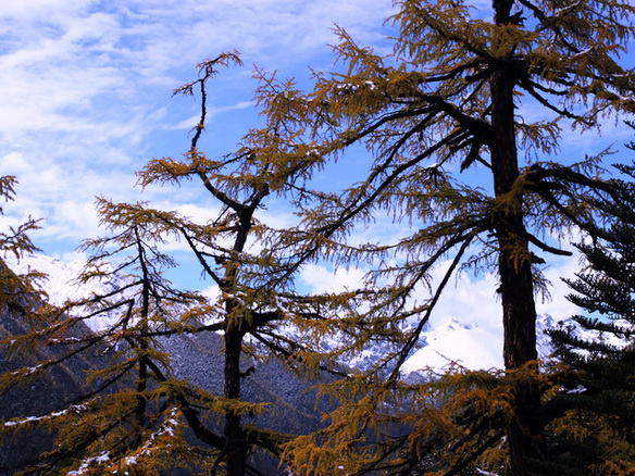 ���� 680.jpg