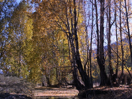 ���� 685.jpg