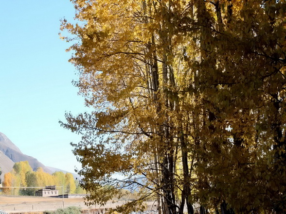 ���� 695.jpg