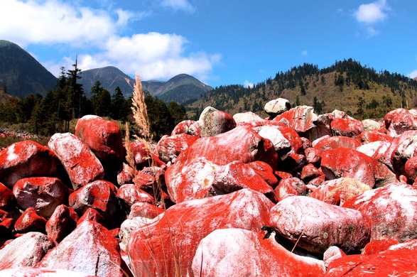 ���� 696.jpg