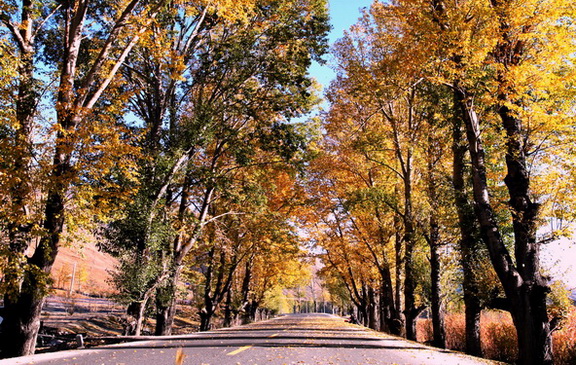 ���� 709.jpg