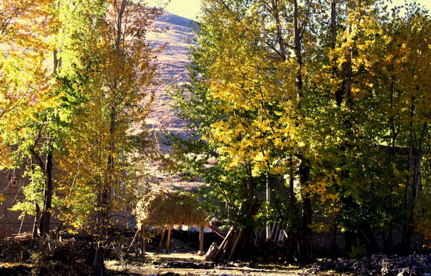 ���� 710.jpg