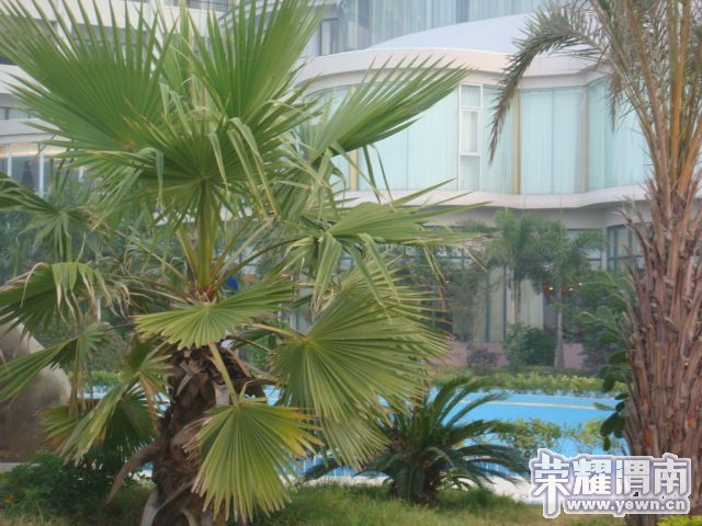 ������̲ 030.JPG