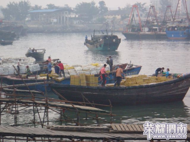 ������̲ 111.JPG