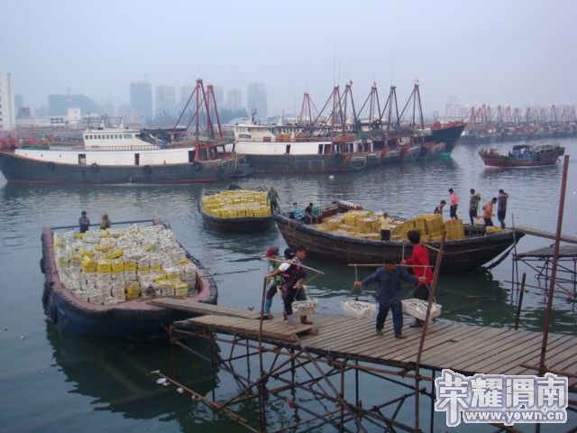 ������̲ 113.JPG