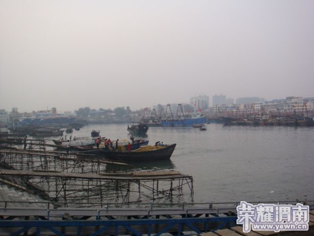 ������̲ 110.JPG